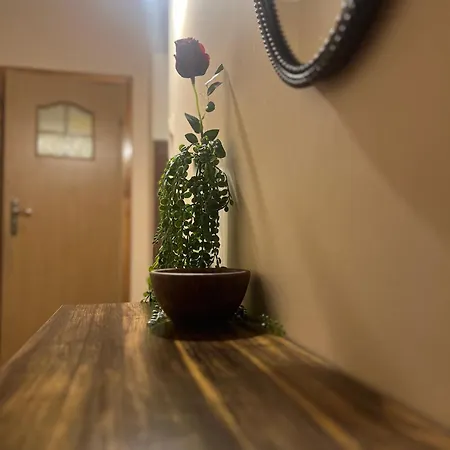 Centre - * ポズナン